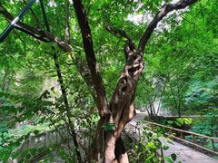 -北京上方山国家森林公园