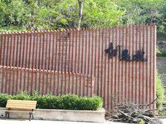 -银湖山郊野公园-相思林