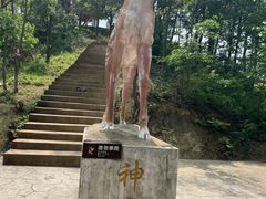 -仙岛湖旅游风景区
