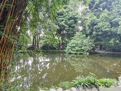 -成都市活水公园