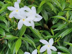 -福田红树林生态公园