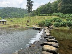 -广州市石门国家森林公园