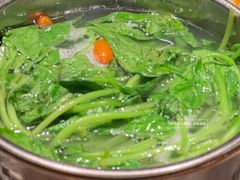 -初蓉丨遇见新川菜(亲贤街荣耀店)