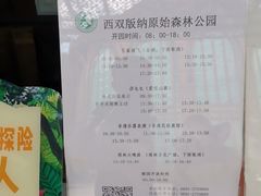 -西双版纳原始森林公园