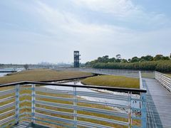 -春花秋色城市公园