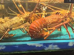 -花开富贵平潭海鲜楼(平潭店)