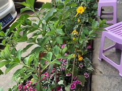 -春明狗肉馆(经开一区店)