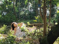 -中山市树木园