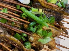 鳝鱼-晓靖轩烧烤(沙河风情店)