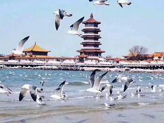 -八仙过海景区
