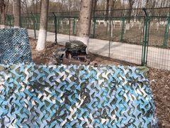 -亲兄弟真人CS团建拓展基地