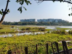 -华侨城湿地公园