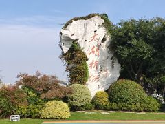 -贡湖湾湿地公园