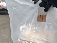 -合肥野生动物园