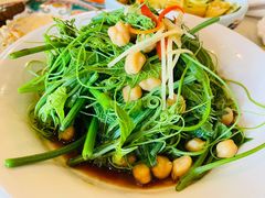 清香南瓜尖-巴依老爷新疆美食(工体旗舰店)