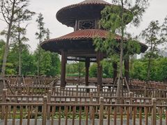-五缘湾湿地公园