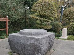 -上海方塔园