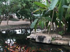 -南通洲际绿博园