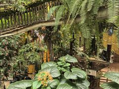 -正佳雨林生态植物园