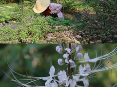-广东中医药博物馆