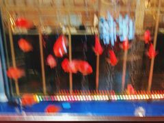 -比格比萨自助(国展店)