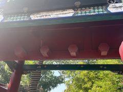 -万柳阁小馆·花园餐厅(龙潭湖店)