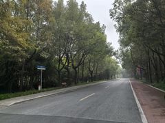 -狼山风景名胜区