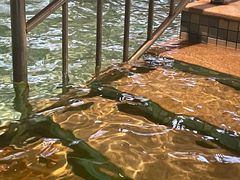 -悦隆庄温泉度假酒店