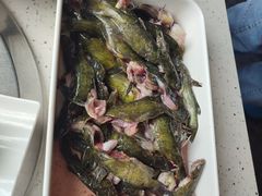 三角峰-胖师鱼馆非遗砂锅雅鱼(大北街店)