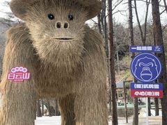 -洛阳白云山景区