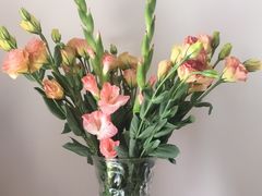 -秦美花卉(天朗·莱茵小城2期店)