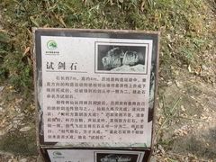 -广州白江湖森林公园