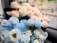 -双季花艺园艺市场(浦东店)