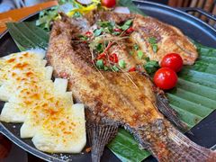 -老滇山寨•云南特色菜•地方菜•民族风情歌舞表演(经开区店)