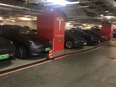 -TESLA 特斯拉(上海太古汇体验店)