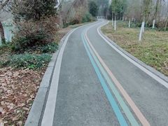 -桤木河湿地公园