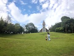 -成都保利公园皇冠假日酒店(熊猫基地店)