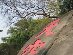 -乌山风景区