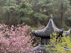 -九龙潭景区
