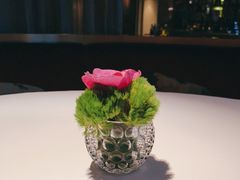 -金轩中餐厅 Jin Xuan(浦东丽思卡尔顿酒店)