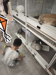 -第五极儿童乐园