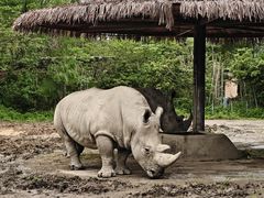 -宁波野生动物园
