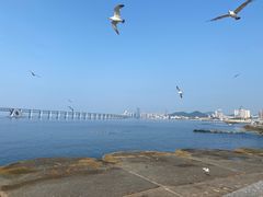 -星海广场