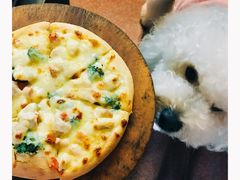 -百好乐宠物友好餐厅(朝外大街店)