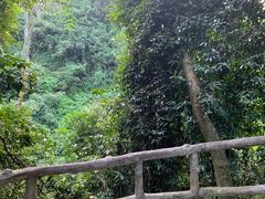 -鼎湖山风景区