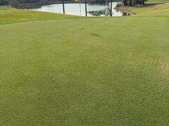 -罗浮山嘉宝田森林温泉度假酒店