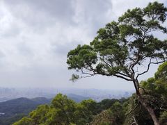 -广州市白云山风景名胜区