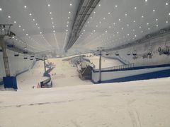 -哈尔滨热雪奇迹