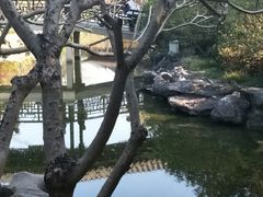-顺峰山公园