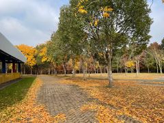 -上海海湾国家森林公园